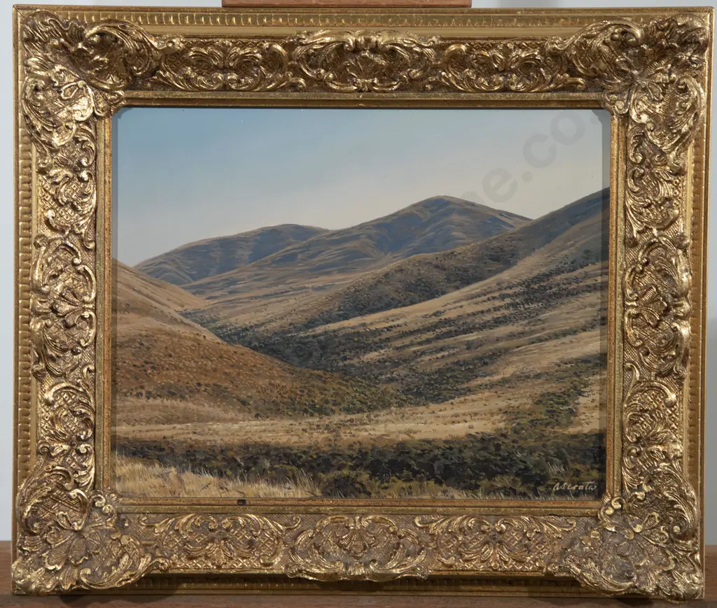 Andrew Coates - Summer Hills Central Otago Image 1++