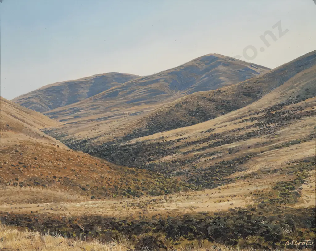 Andrew Coates - Summer Hills Central Otago Image 1++