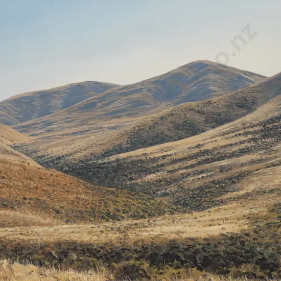 Andrew Coates - Summer Hills Central Otago