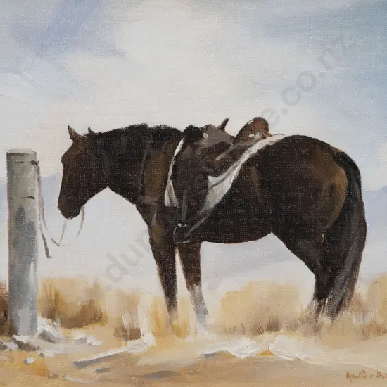 Maurice Buckland - The Musterer's Best Friend Patearoa