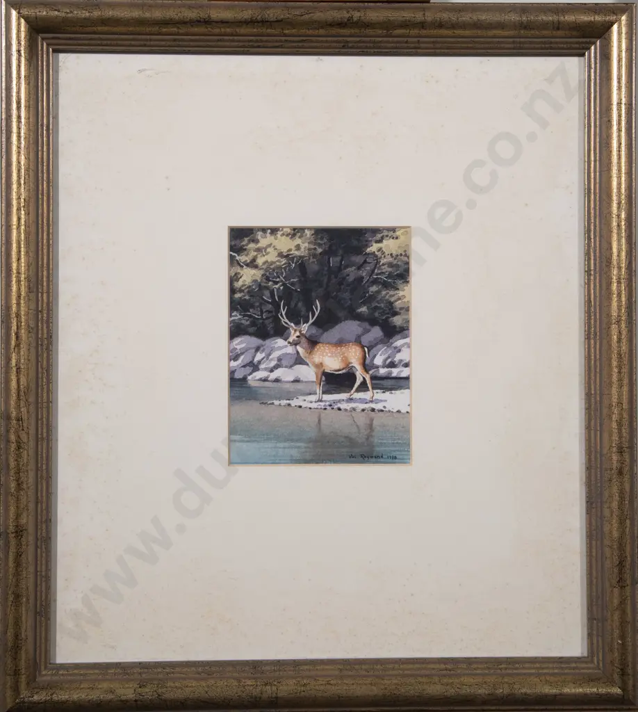 Val Raymond - Sika Stag Image 1++