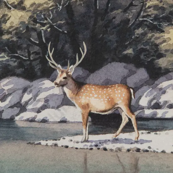 Val Raymond - Sika Stag