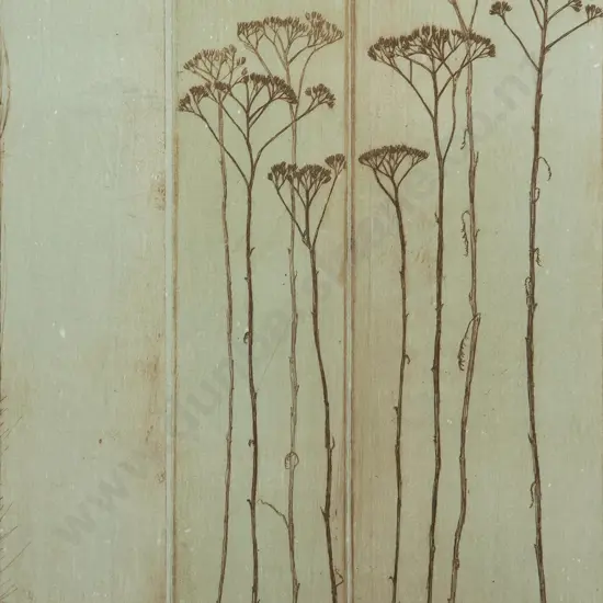 Alannah Brown - Untitled (Yarrow Series)