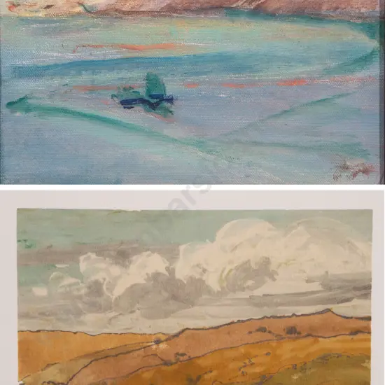Gillian Pope - Nevis Valley Otago & Pat Fry oil (2)