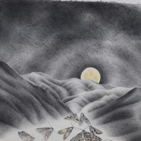 Rhonda Greig - Moths in Moonlight