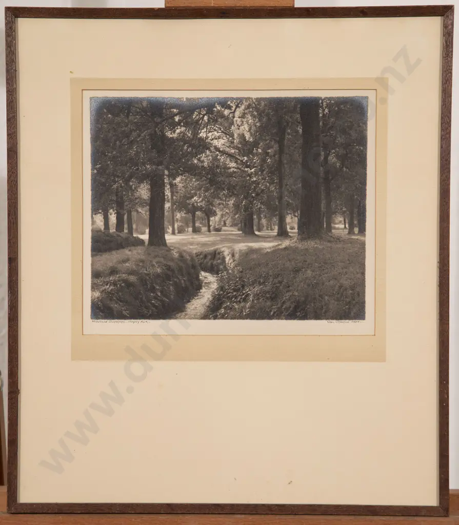 George Chance - Woodland Sunshine Hagley Park Image 1++