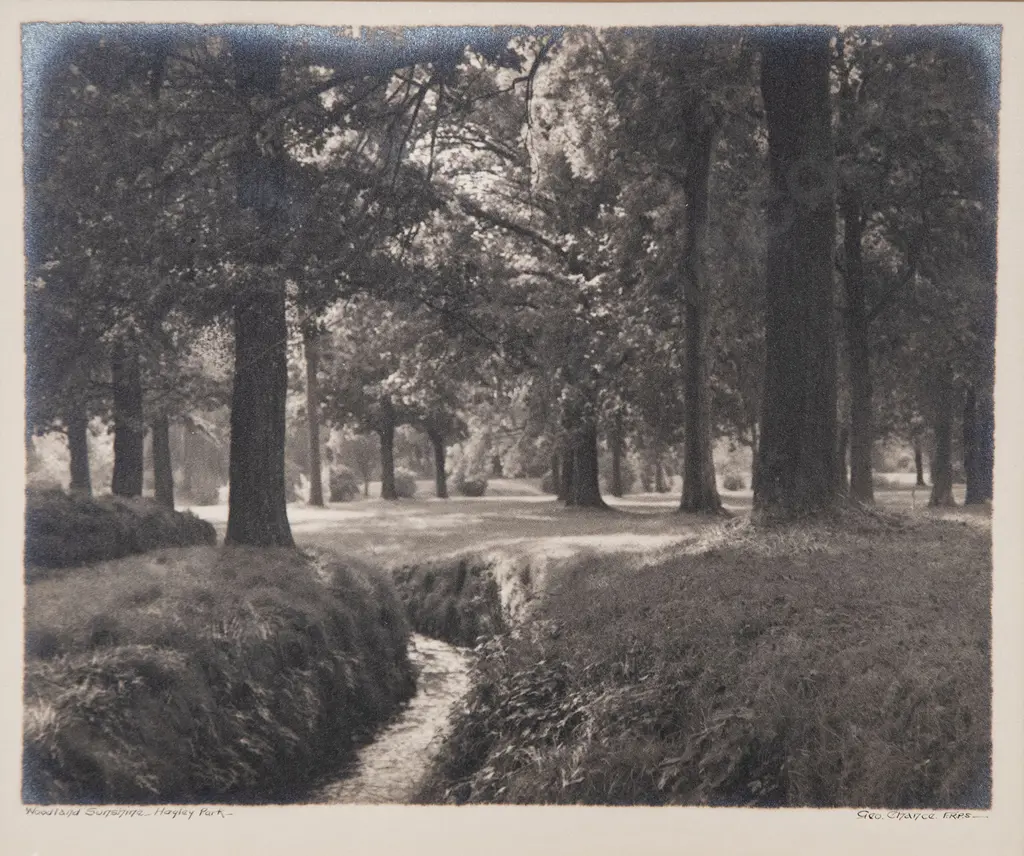 George Chance - Woodland Sunshine Hagley Park Image 1++
