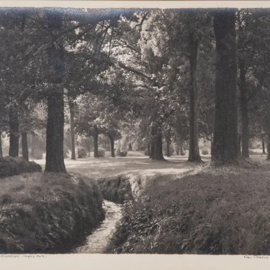 George Chance - Woodland Sunshine Hagley Park