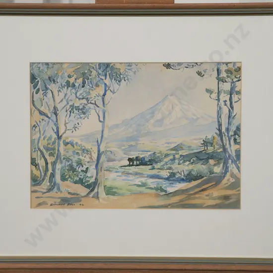 Bernard Aris - Mt Taranaki
