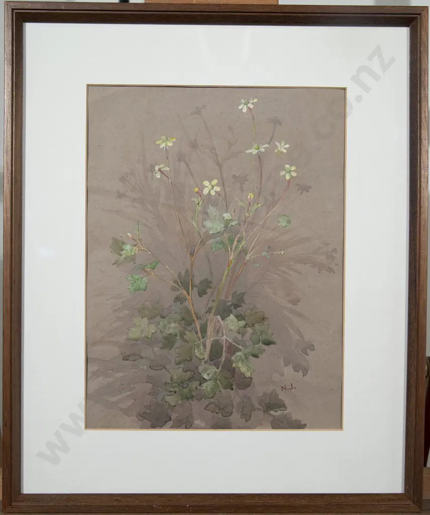 Nina Jones - Ranunculus & Solanum Aviculare (2) Image 1++