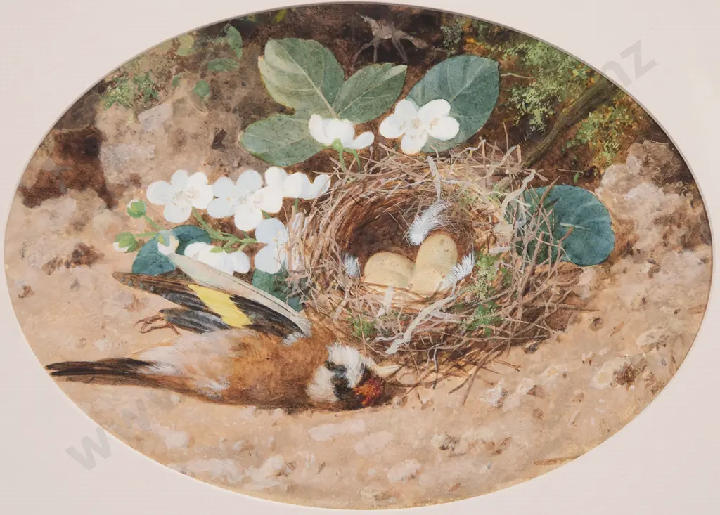 Attributed William Cruickshank (British) - Finch & Nest Image 1++