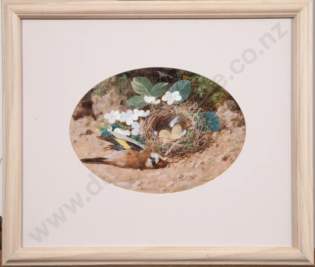 Attributed William Cruickshank (British) - Finch & Nest Image 1++
