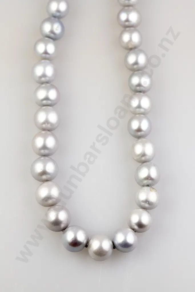 Single Strand Slightly Graduated South Sea Pearl Necklace Image 1++