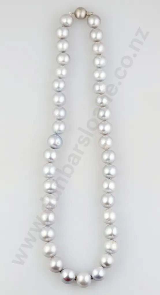 Single Strand Slightly Graduated South Sea Pearl Necklace Image 1++