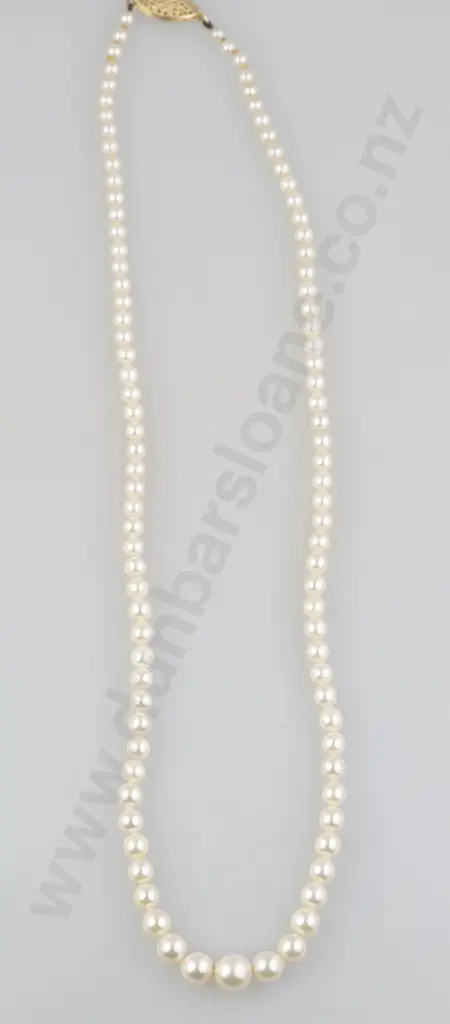 Single Strand Graduated Cultured Pearl Necklace Image 1++