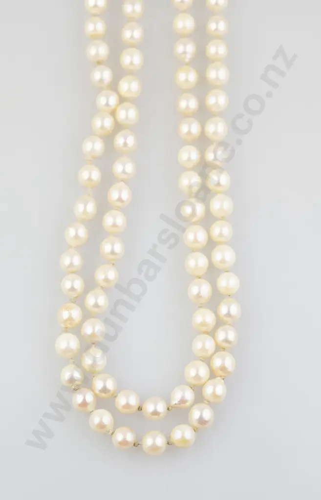 Single Strand Uniform Cultured Pearl Necklace Image 1++