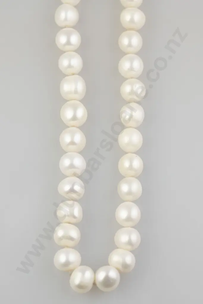 Single Strand Freshwater Pearl Necklace Image 1++