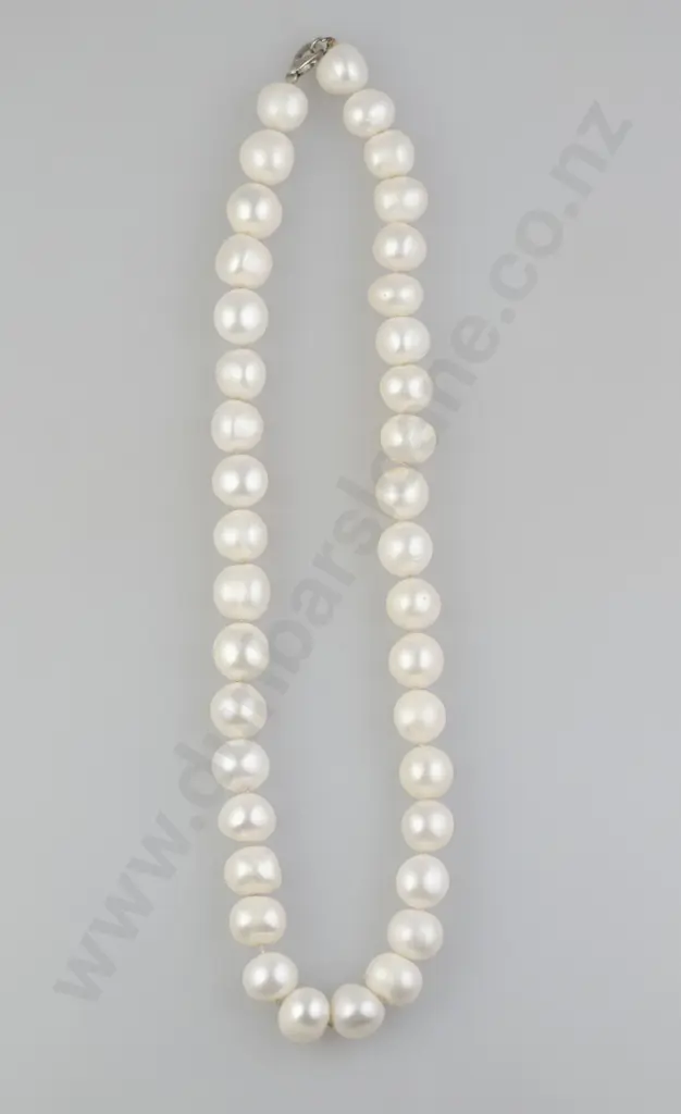 Single Strand Freshwater Pearl Necklace Image 1++
