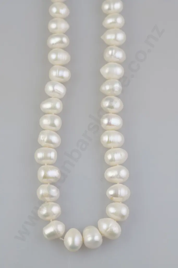 Single Strand Freshwater Pearl Necklace Image 1++
