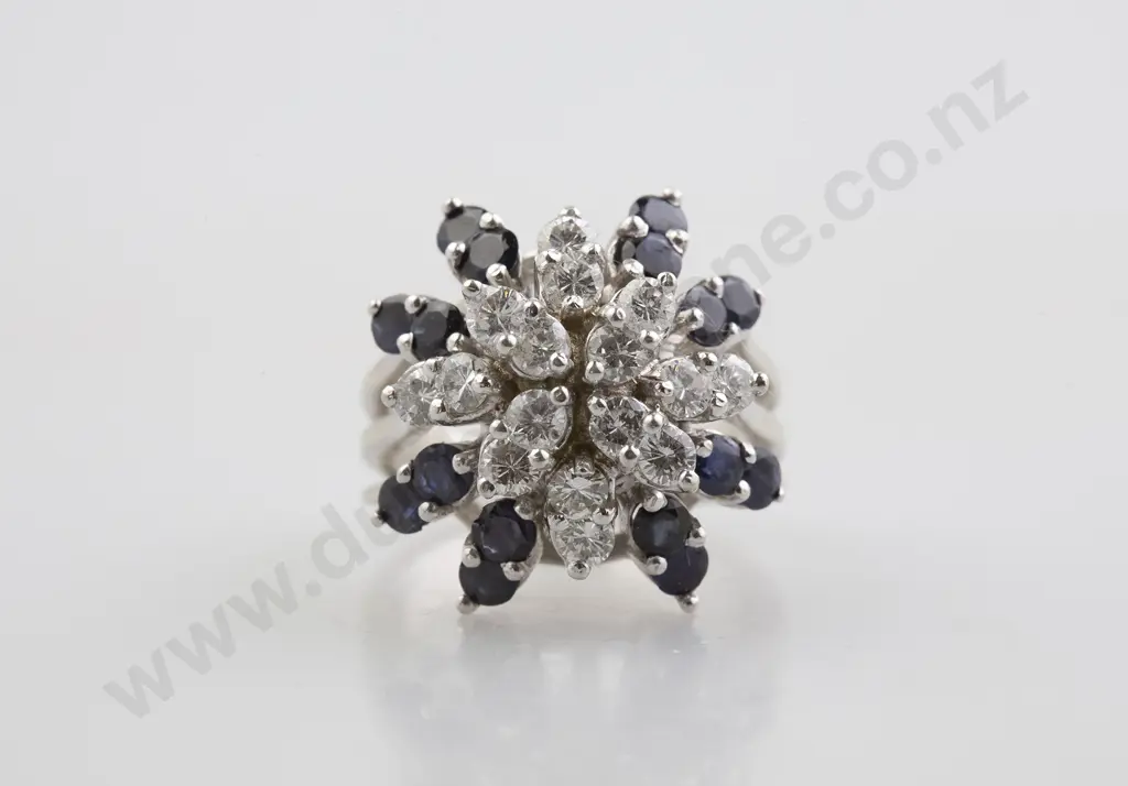 14ct White Gold 32stone Sapphire and Diamond Starburst Cluster Ring Image 1++