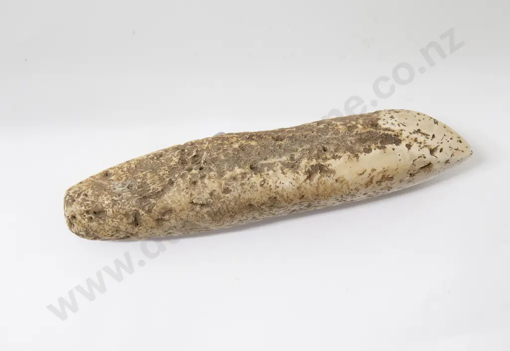 Three Greenstone Chisel Pieces and stone piece Image 1++