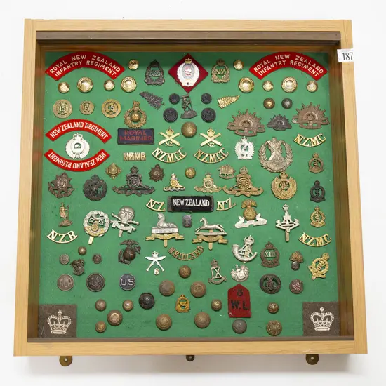 Collection Mainly NZ Military Insignia