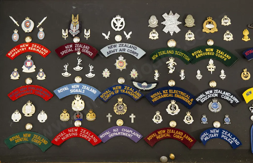 Display Collection of NZ Regimental Corps Insignia Image 1++