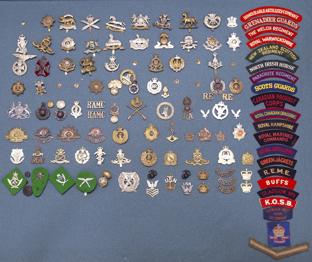 Display Collection of Mainly British Regimental Corps Insignia Image 1++