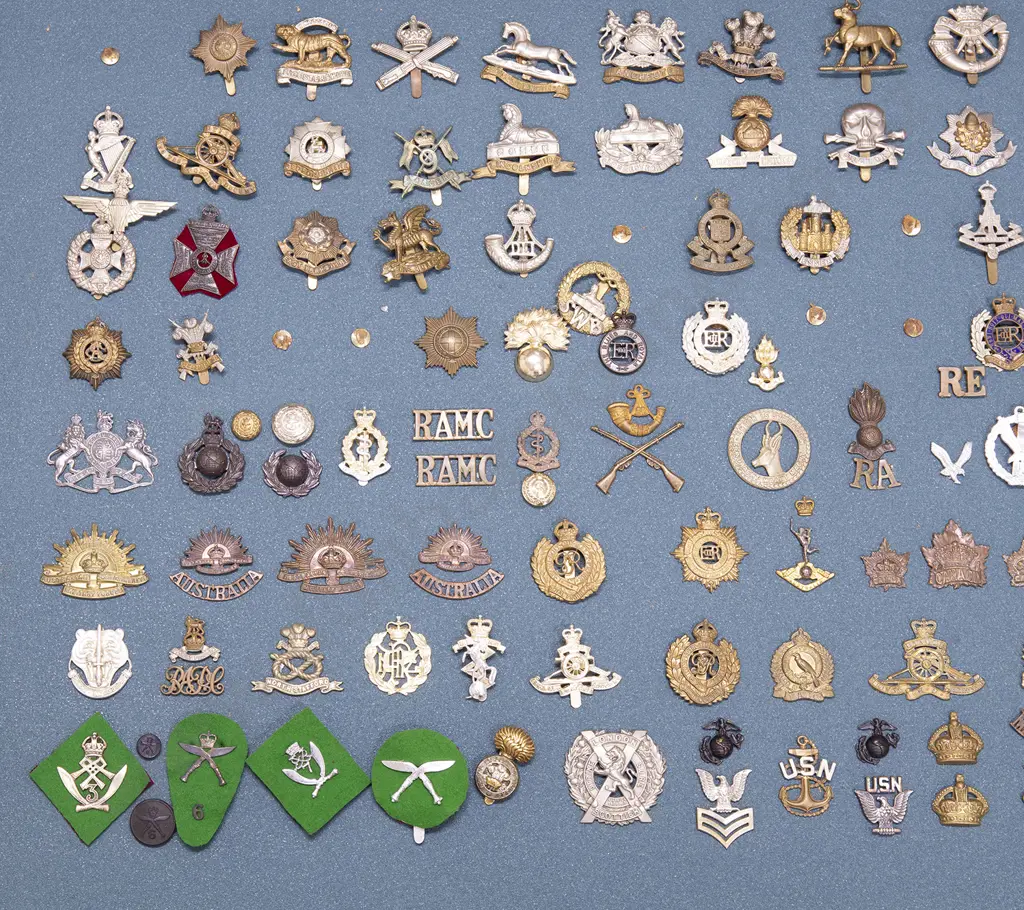 Display Collection of Mainly British Regimental Corps Insignia Image 1++