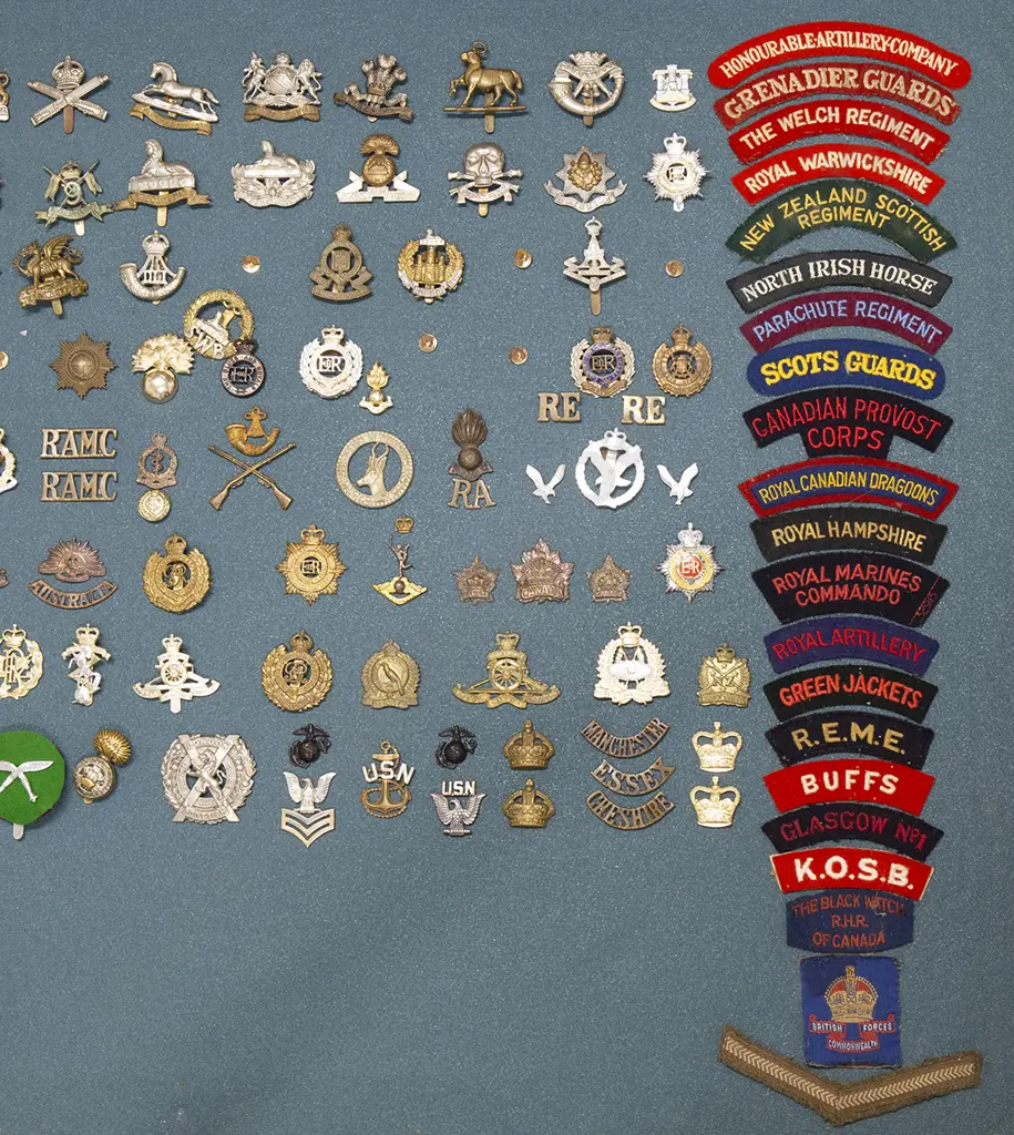 Display Collection of Mainly British Regimental Corps Insignia Image 1++