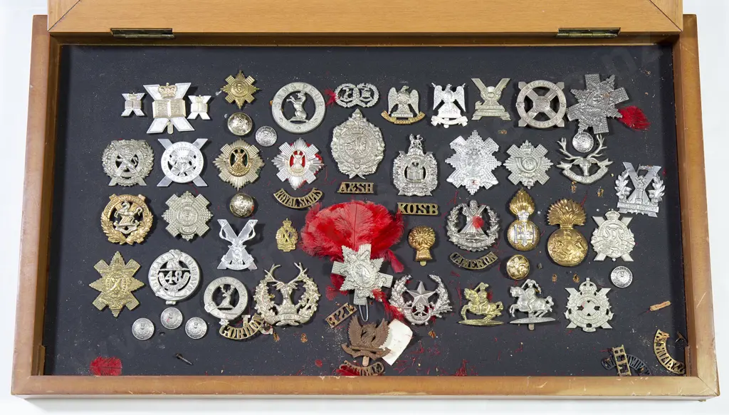 Display Collection Mainly Scottish Military Insignia Image 1++