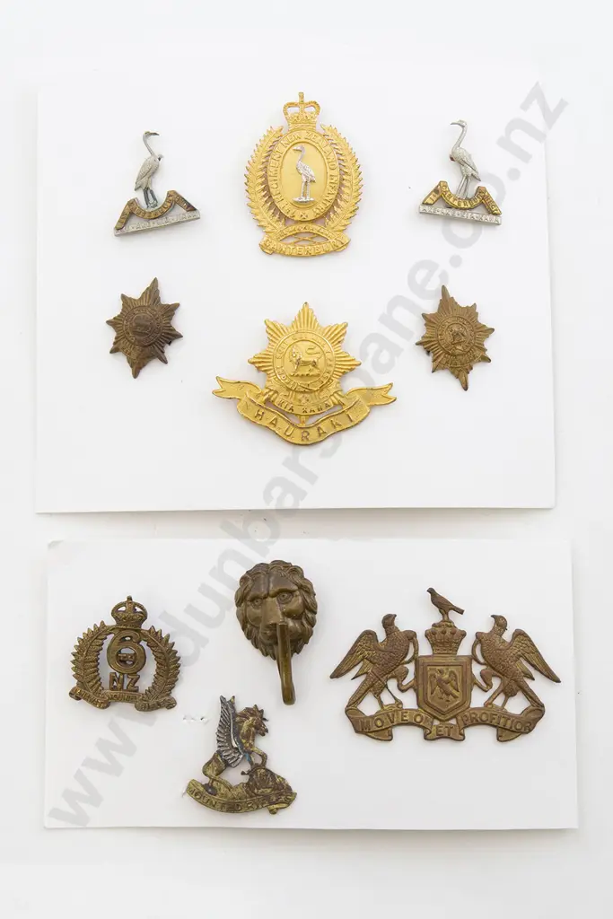 WWI NZ Regimental Cap Badges Image 1++