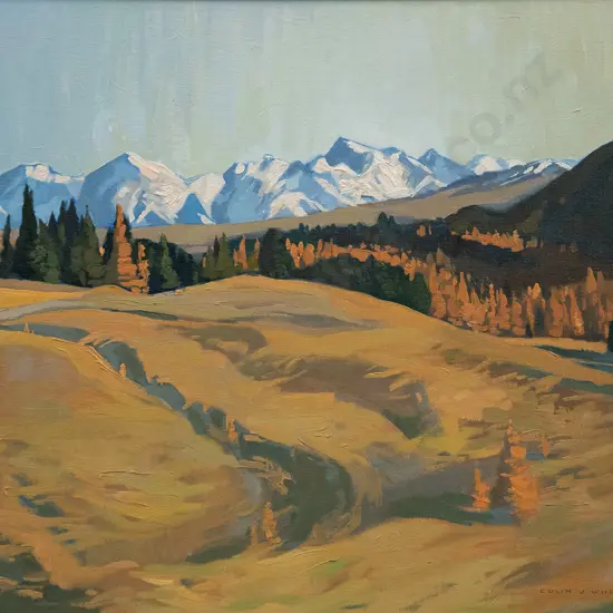 Colin Wheeler (1919-2012) - Ben Ohau Range near Tekapo township