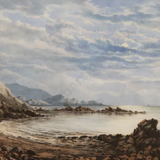 Charles Decimus Barraud (1822-97) - Worser Bay Wellington