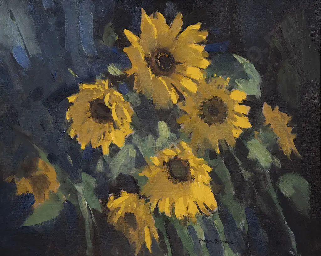 Peter Beadle - Sunflowers Image 1++