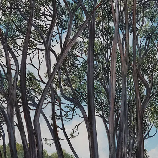 Michael Moore (b 1956) - Christmas Day Beside the Ruamahunga