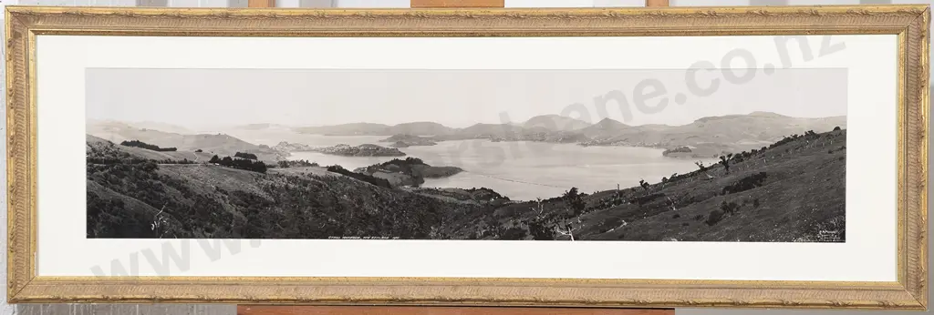 R P Moore - Otago Harbour New Zealand Image 1++