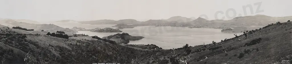 R P Moore - Otago Harbour New Zealand Image 1++