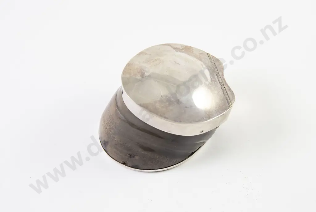 Small Horse Hoof Inkwell Image 1++