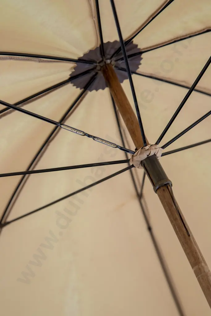Victorian Umbrella Image 1++