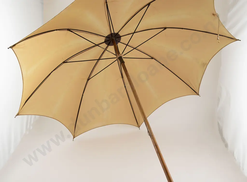 Victorian Umbrella Image 1++