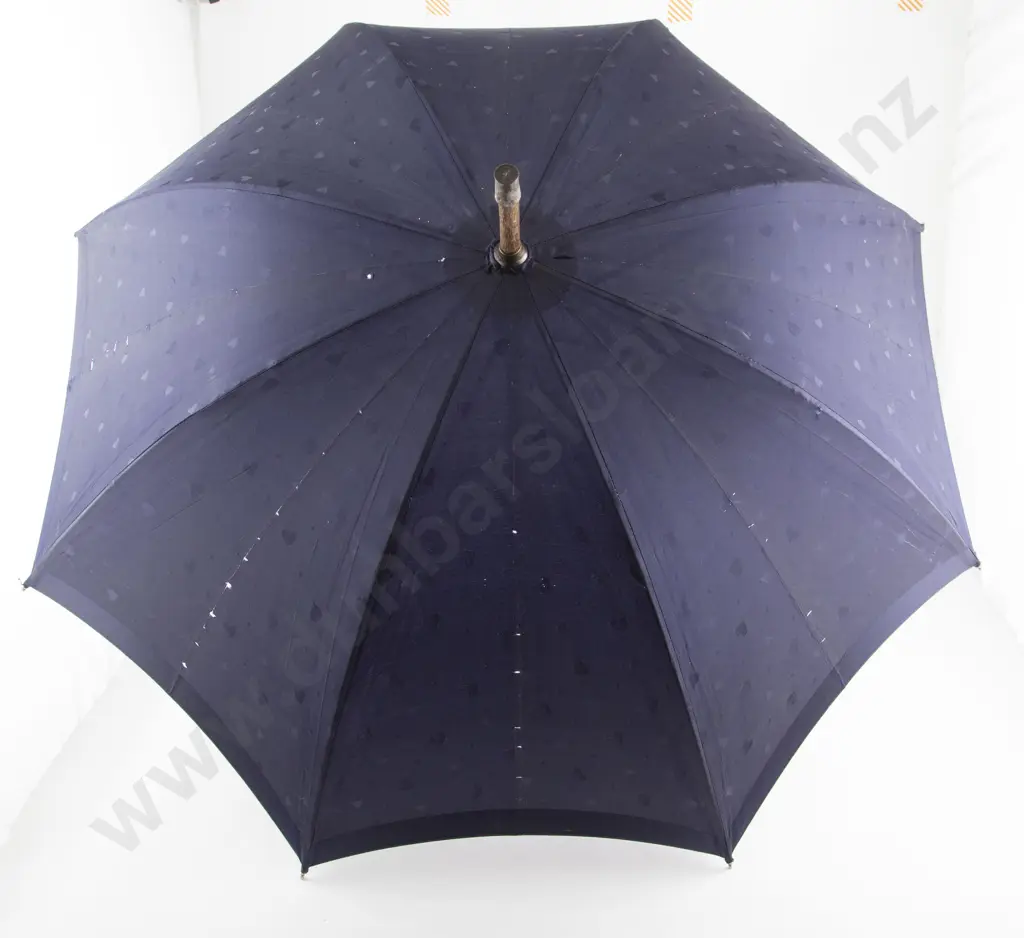 Victorian Umbrella Image 1++