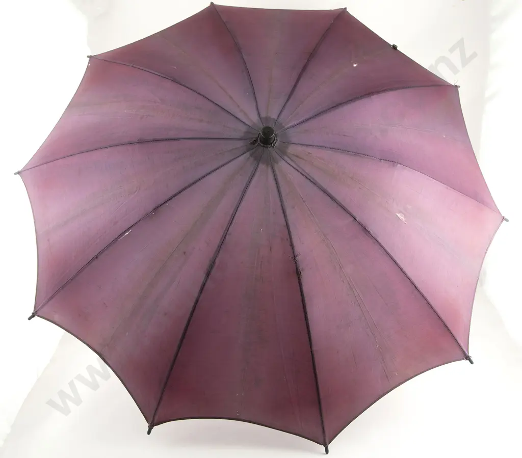Victorian Umbrella & other (2) Image 1++