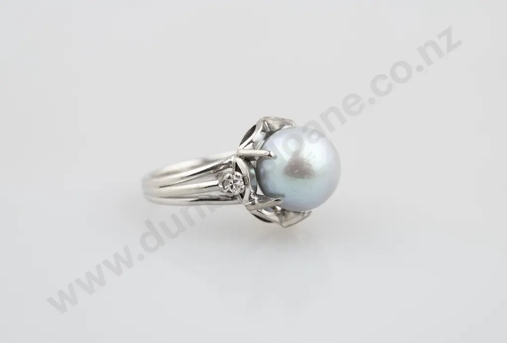 10ct White Single South Sea Pearl Dress Ring Image 1++