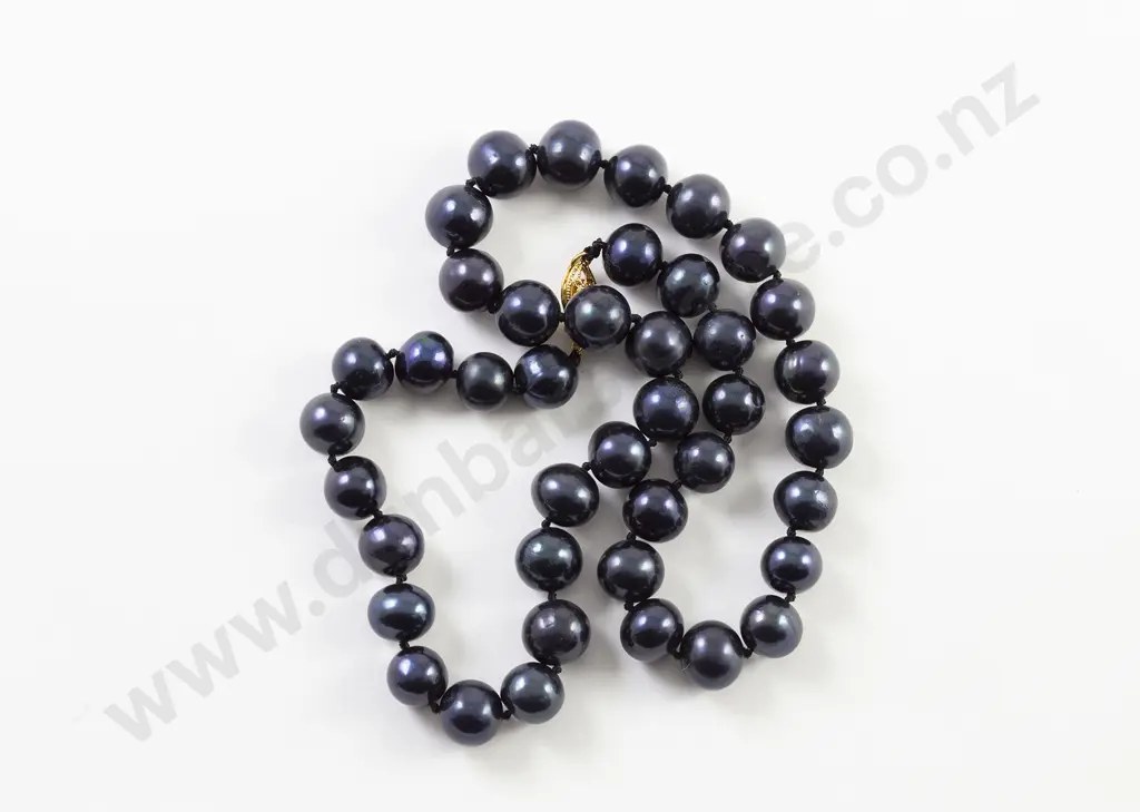 Single Strand Uniform Black Cultured Pearl Necklace Image 1++