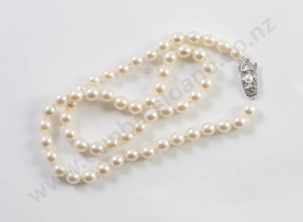 Single Strand Uniform Cultured Pearl Necklace Image 1++