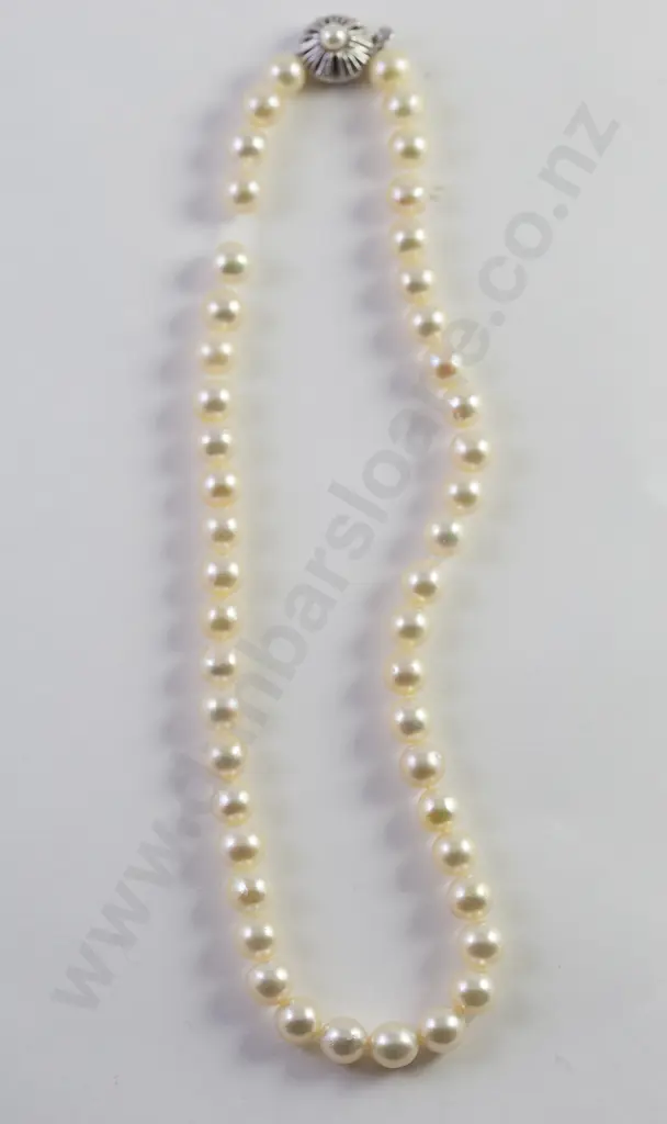 Single Strand Uniform Cultured Pearl Necklace Image 1++