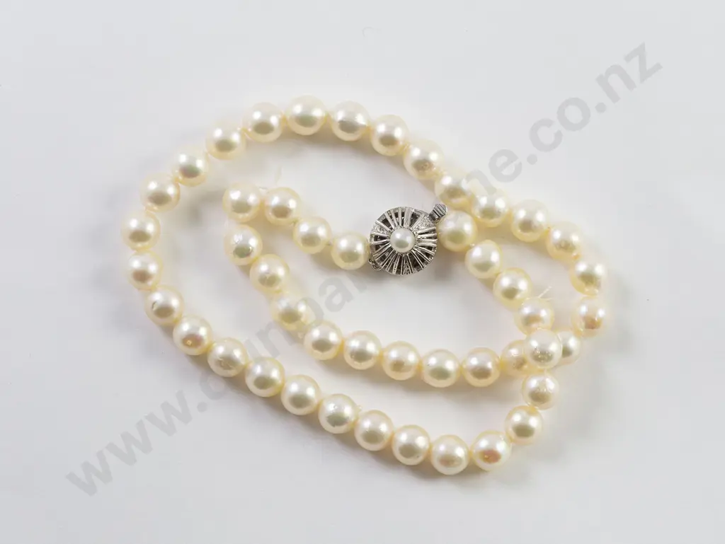 Single Strand Uniform Semi- Baroque Cultured Pearl Necklace Image 1++
