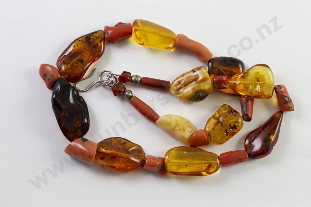Modern Thread Natural Amber & Coral Necklace Image 1++