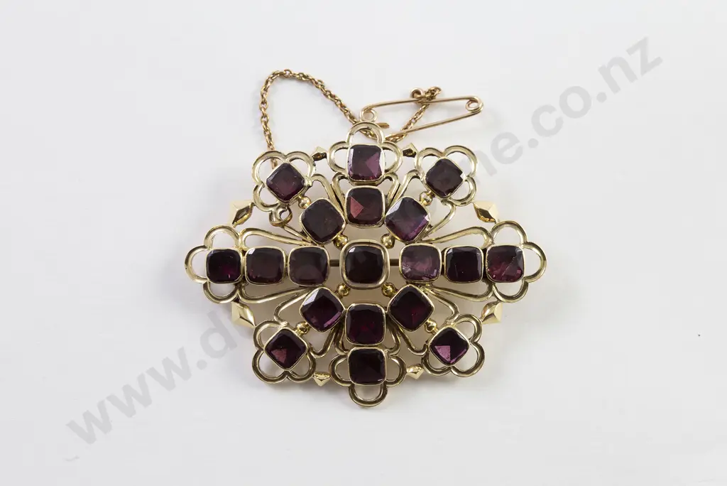 14ct 19stone Garnet Brooch Image 1++